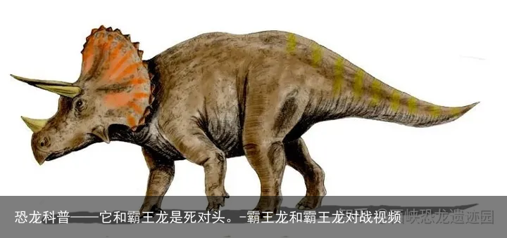 恐龙科普——它和霸王龙是死对头。-霸王龙和霸王龙对战视频