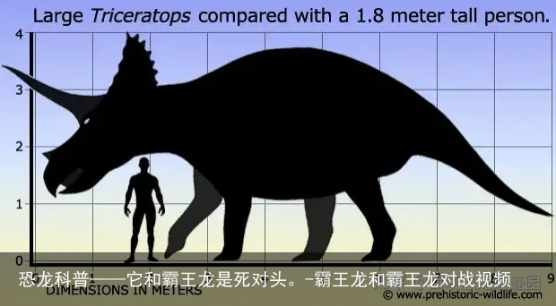 恐龙科普——它和霸王龙是死对头。-霸王龙和霸王龙对战视频