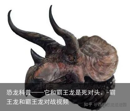 恐龙科普——它和霸王龙是死对头。-霸王龙和霸王龙对战视频