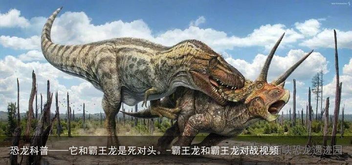 恐龙科普——它和霸王龙是死对头。-霸王龙和霸王龙对战视频