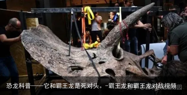 恐龙科普——它和霸王龙是死对头。-霸王龙和霸王龙对战视频