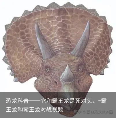 恐龙科普——它和霸王龙是死对头。-霸王龙和霸王龙对战视频