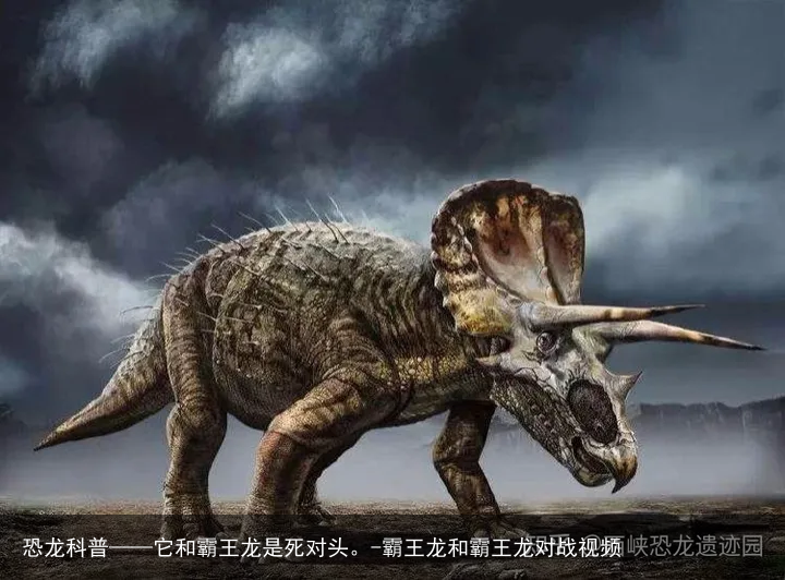 恐龙科普——它和霸王龙是死对头。-霸王龙和霸王龙对战视频