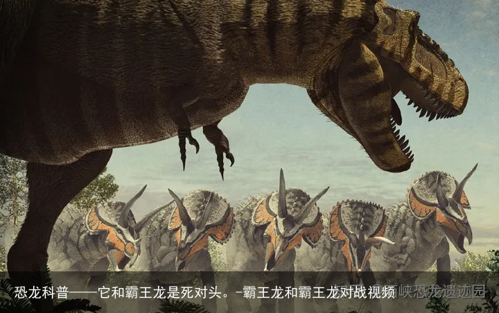 恐龙科普——它和霸王龙是死对头。-霸王龙和霸王龙对战视频