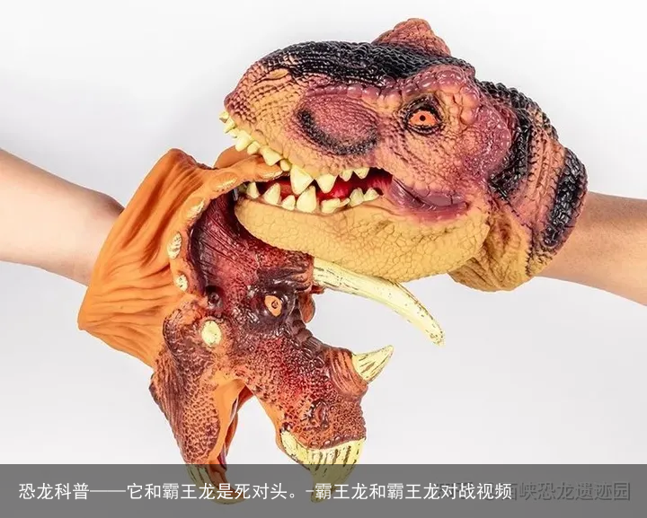 恐龙科普——它和霸王龙是死对头。-霸王龙和霸王龙对战视频
