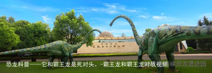 恐龙科普——它和霸王龙是死对头。-霸王龙和霸王龙对战视频