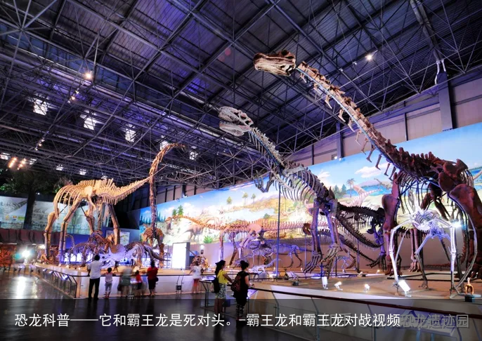 恐龙科普——它和霸王龙是死对头。-霸王龙和霸王龙对战视频