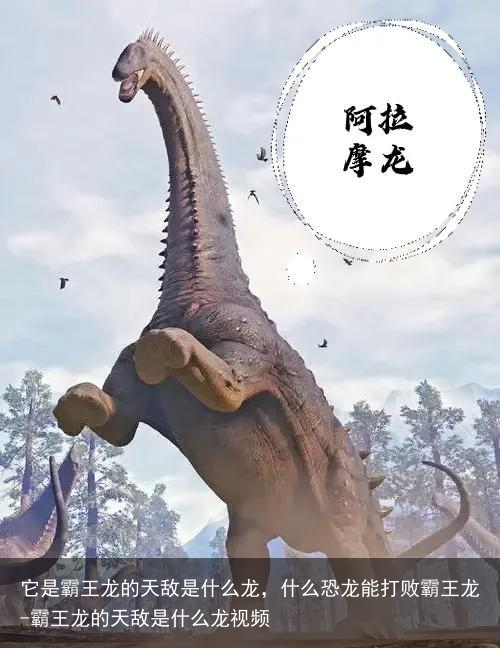 它是霸王龙的天敌是什么龙,什么恐龙能打败霸王龙-霸王龙的天敌是什么龙视频