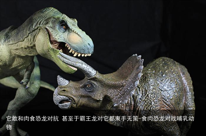 它敢和肉食恐龙对抗 甚至于霸王龙对它都束手无策-食肉恐龙对战哺乳动物