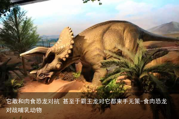 它敢和肉食恐龙对抗 甚至于霸王龙对它都束手无策-食肉恐龙对战哺乳动物
