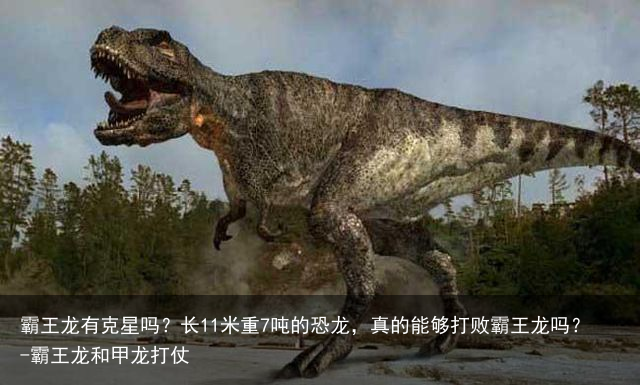霸王龙有克星吗?长11米重7吨的恐龙,真的能够打败霸王龙吗?-霸王龙和甲龙打仗