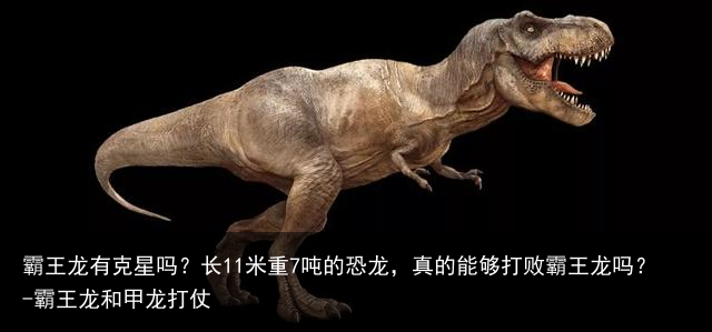 霸王龙有克星吗?长11米重7吨的恐龙,真的能够打败霸王龙吗?-霸王龙和甲龙打仗