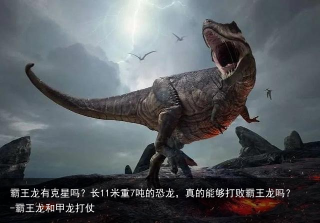 霸王龙有克星吗?长11米重7吨的恐龙,真的能够打败霸王龙吗?-霸王龙和甲龙打仗