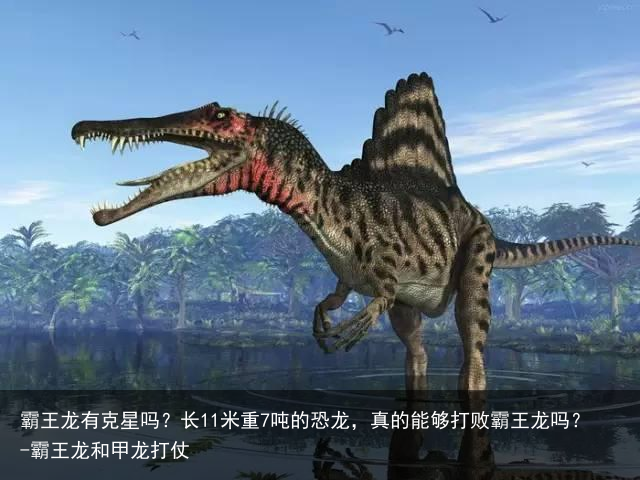 霸王龙有克星吗?长11米重7吨的恐龙,真的能够打败霸王龙吗?-霸王龙和甲龙打仗