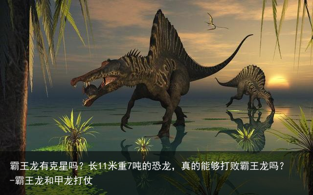 霸王龙有克星吗?长11米重7吨的恐龙,真的能够打败霸王龙吗?-霸王龙和甲龙打仗