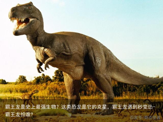 霸王龙是史上最强生物?这类恐龙是它的克星,霸王龙遇到秒变怂-霸王龙怕谁?