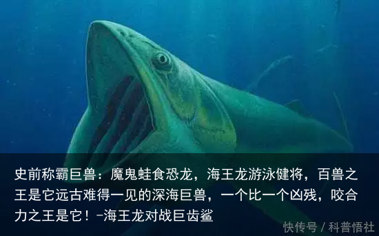 史前称霸巨兽:魔鬼蛙食恐龙,海王龙游泳健将,百兽之王是它远古难得一见的深海巨兽,一个比一个凶残,咬合力之王是它!-海王龙对战巨齿鲨