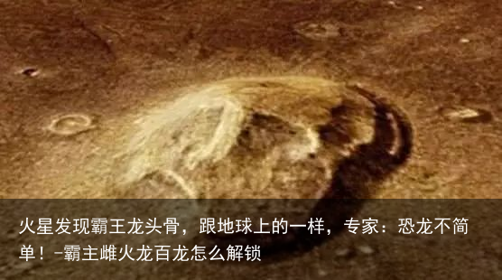 火星发现霸王龙头骨,跟地球上的一样,专家:恐龙不简单!-霸主雌火龙百龙怎么解锁