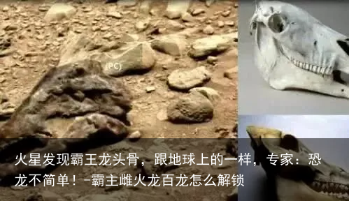 火星发现霸王龙头骨,跟地球上的一样,专家:恐龙不简单!-霸主雌火龙百龙怎么解锁