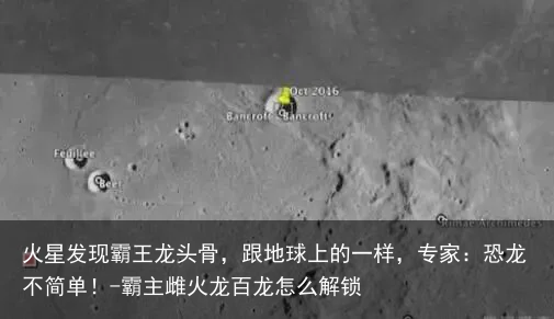 火星发现霸王龙头骨,跟地球上的一样,专家:恐龙不简单!-霸主雌火龙百龙怎么解锁