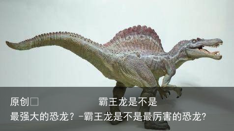 霸王龙是不是最强大的恐龙?-霸王龙是不是最厉害的恐龙?
