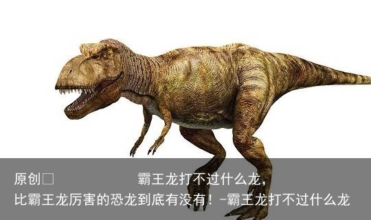 霸王龙打不过什么龙,比霸王龙厉害的恐龙到底有没有!-霸王龙打不过什么龙