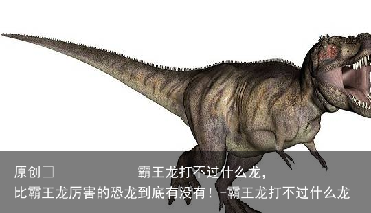 霸王龙打不过什么龙,比霸王龙厉害的恐龙到底有没有!-霸王龙打不过什么龙