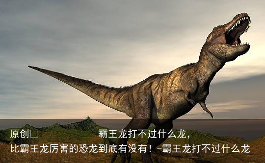 霸王龙打不过什么龙,比霸王龙厉害的恐龙到底有没有!-霸王龙打不过什么龙