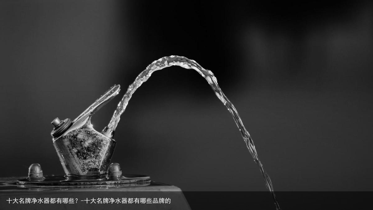 十大名牌净水器都有哪些?-十大名牌净水器都有哪些品牌的