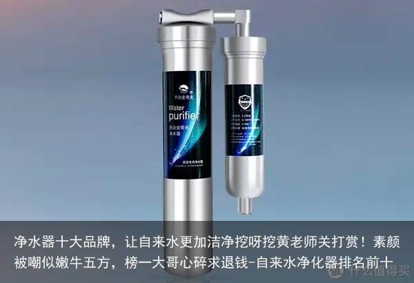 净水器十大品牌,让自来水更加洁净挖呀挖黄老师关打赏!素颜被嘲似嫩牛五方,榜一大哥心碎求退钱-自来水净化器排名前十