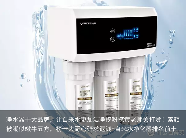 净水器十大品牌,让自来水更加洁净挖呀挖黄老师关打赏!素颜被嘲似嫩牛五方,榜一大哥心碎求退钱-自来水净化器排名前十