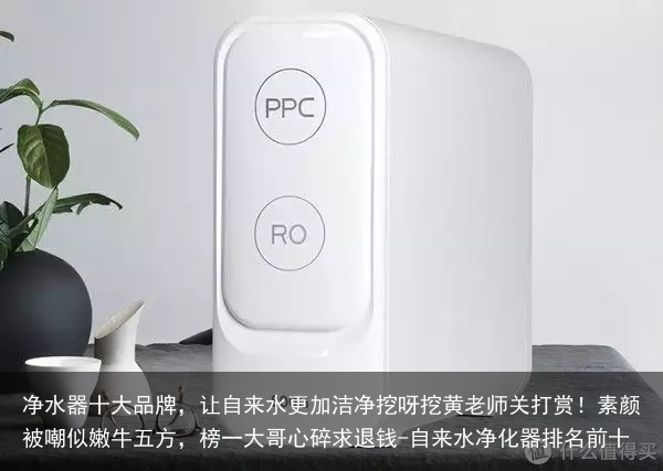 净水器十大品牌,让自来水更加洁净挖呀挖黄老师关打赏!素颜被嘲似嫩牛五方,榜一大哥心碎求退钱-自来水净化器排名前十