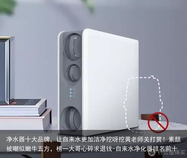 净水器十大品牌,让自来水更加洁净挖呀挖黄老师关打赏!素颜被嘲似嫩牛五方,榜一大哥心碎求退钱-自来水净化器排名前十