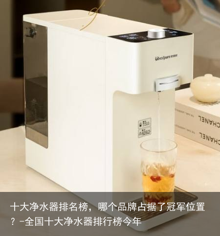 十大净水器排名榜,哪个品牌占据了冠军位置?-全国十大净水器排行榜今年