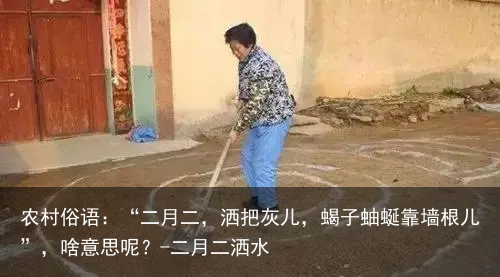 农村俗语:“二月二,洒把灰儿,蝎子蚰蜒靠墙根儿”,啥意思呢?-二月二洒水