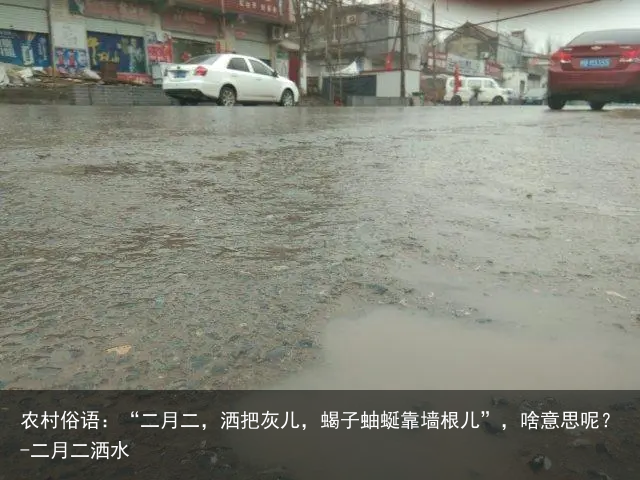 农村俗语:“二月二,洒把灰儿,蝎子蚰蜒靠墙根儿”,啥意思呢?-二月二洒水