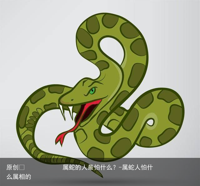 属蛇的人最怕什么?-属蛇人怕什么属相的