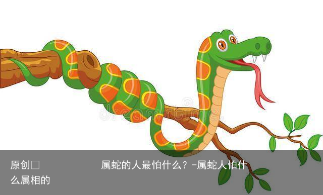 属蛇的人最怕什么?-属蛇人怕什么属相的