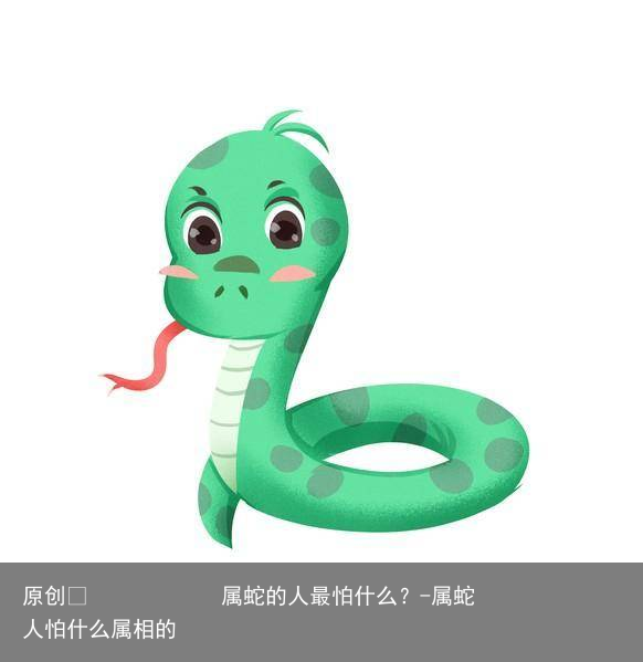 属蛇的人最怕什么?-属蛇人怕什么属相的