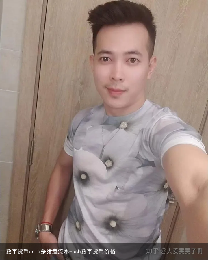 数字货币ustd杀猪盘流水-usb数字货币价格