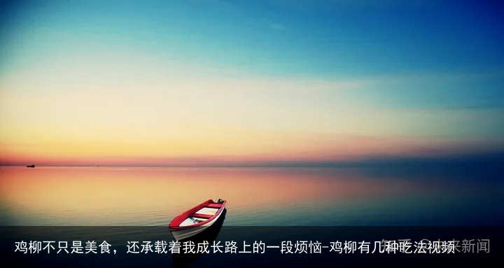 鸡柳不只是美食,还承载着我成长路上的一段烦恼-鸡柳有几种吃法视频