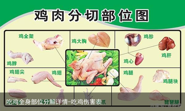 吃鸡全身部位分解详情-吃鸡伤害表