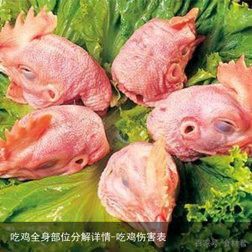 吃鸡全身部位分解详情-吃鸡伤害表