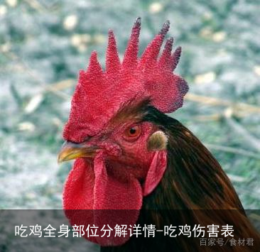 吃鸡全身部位分解详情-吃鸡伤害表