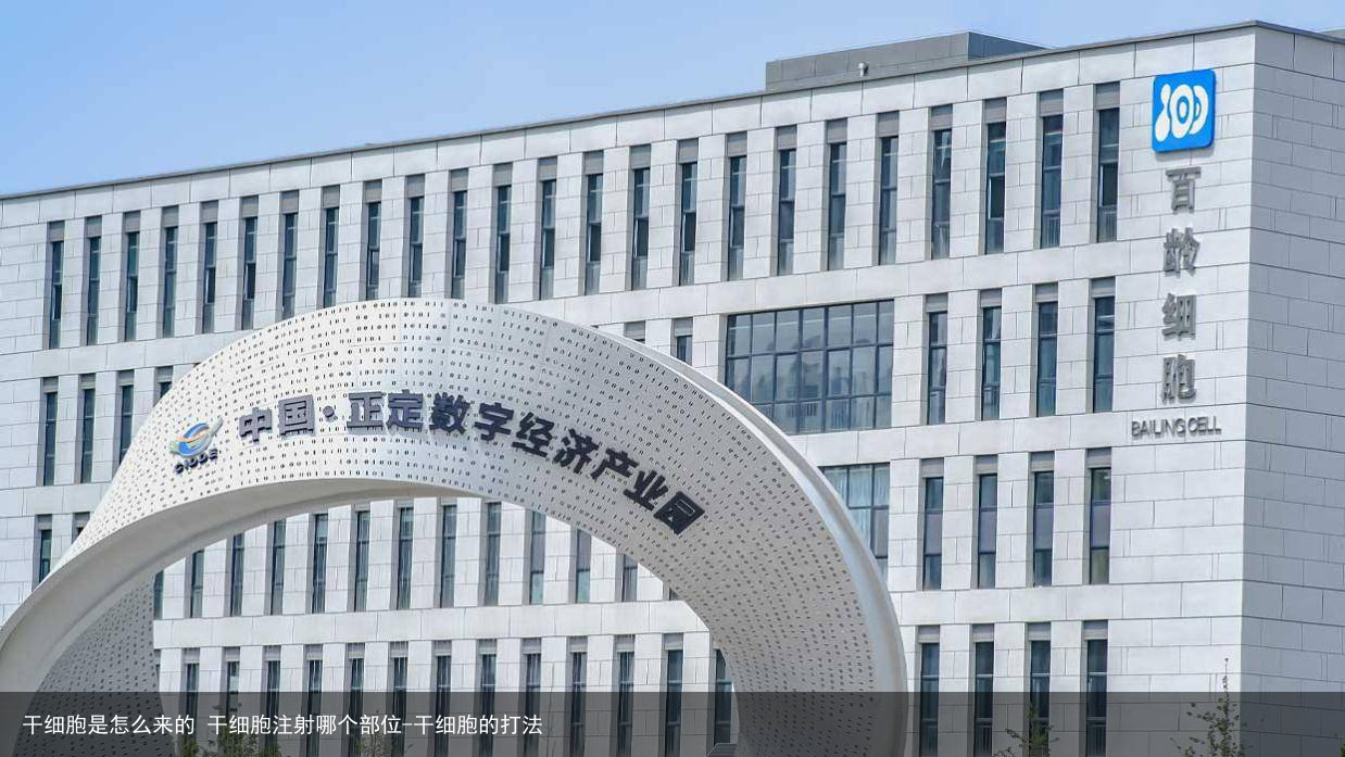 干细胞是怎么来的 干细胞注射哪个部位-干细胞的打法