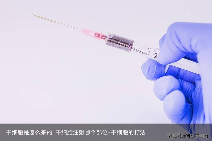 干细胞是怎么来的 干细胞注射哪个部位-干细胞的打法