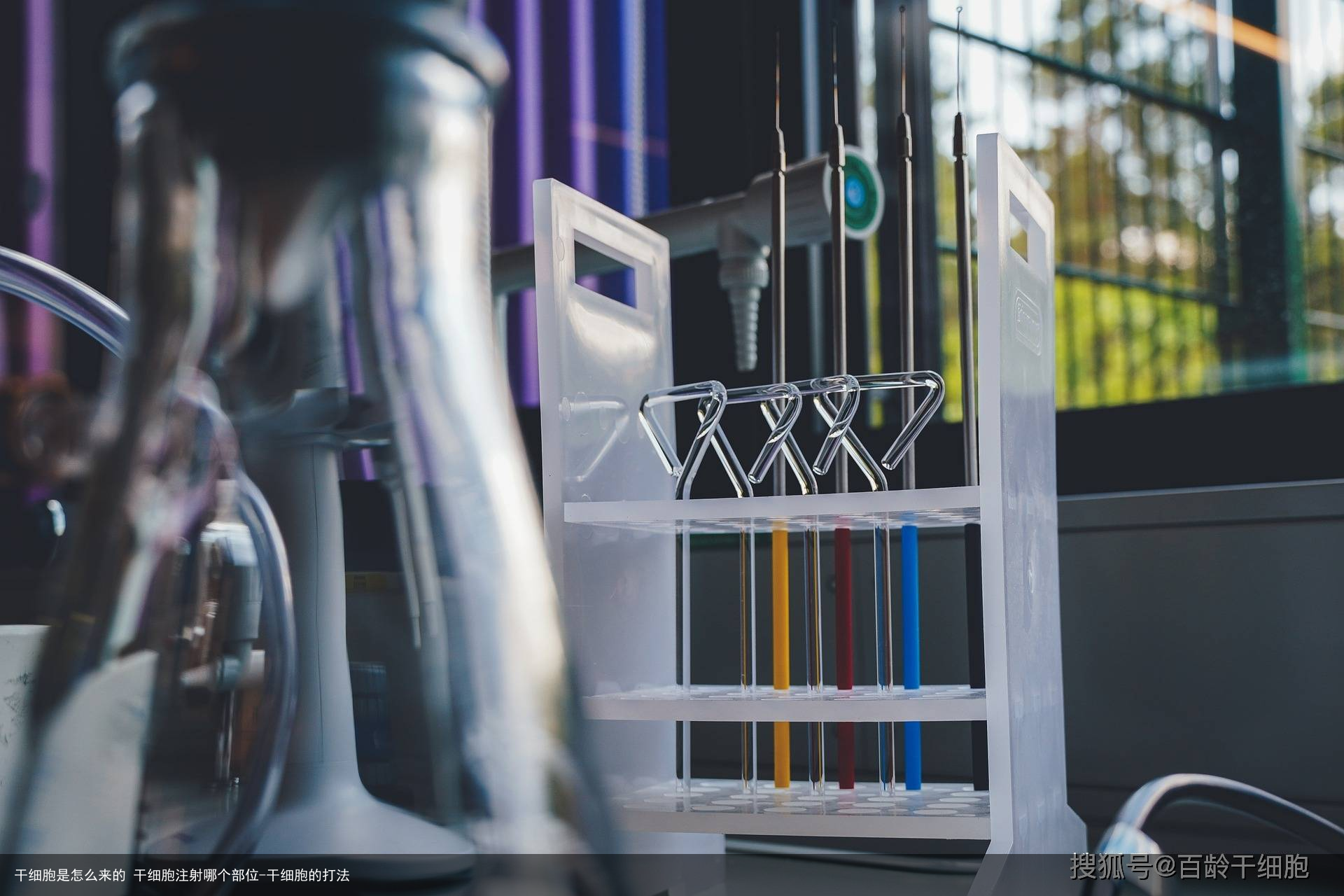 干细胞是怎么来的 干细胞注射哪个部位-干细胞的打法