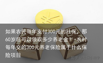 如果农民每年支付300元的社保,那60岁后可以领取多少养老金?-农村每年交的300元养老保险属于什么保险项目