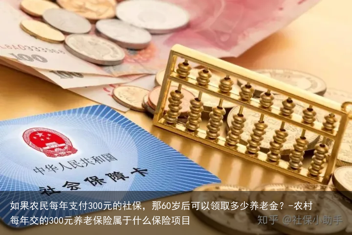 如果农民每年支付300元的社保,那60岁后可以领取多少养老金?-农村每年交的300元养老保险属于什么保险项目