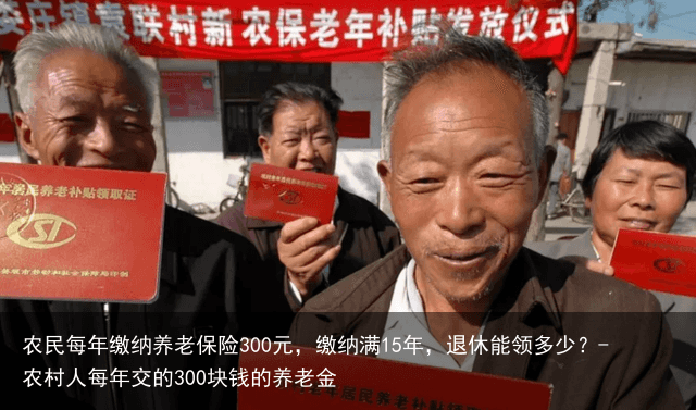 农民每年缴纳养老保险300元,缴纳满15年,退休能领多少?-农村人每年交的300块钱的养老金